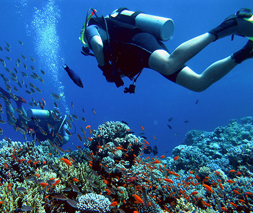 two people scuba diving in reef"