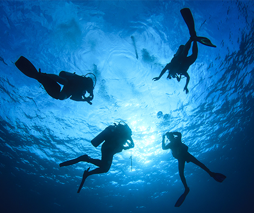 four people rising to the surface"